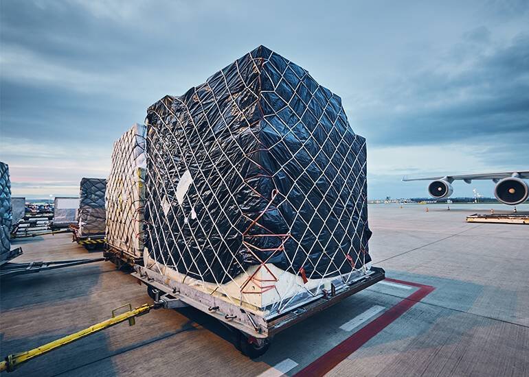 wholesale exporters in Spain